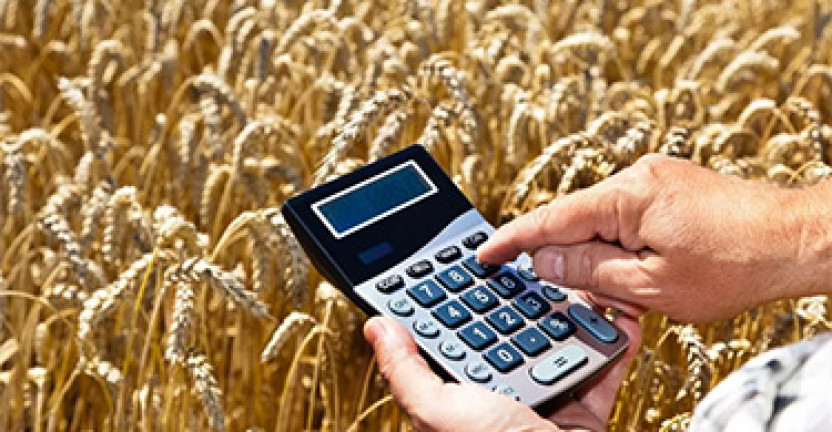 Выпущена экспресс - информация 10-06-25 «О деятельности кредитных сельскохозяйственных потребительских кооперативов в Республике Бурятия»