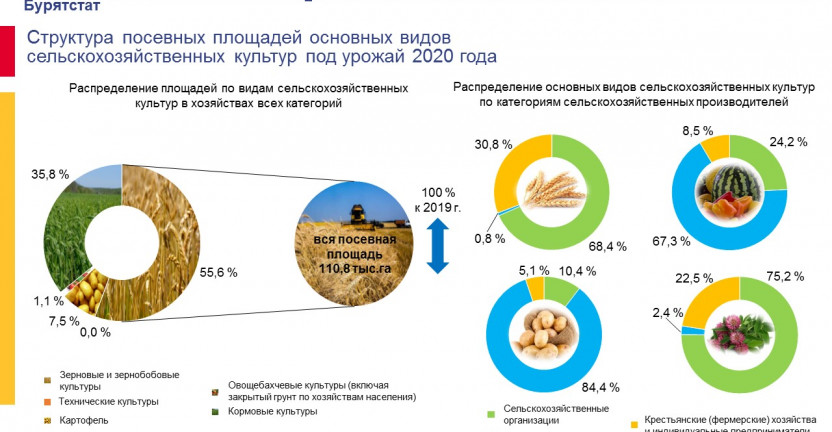 Посевные площади сельскохозяйственных культур под урожай 2020 года в Республике Бурятия