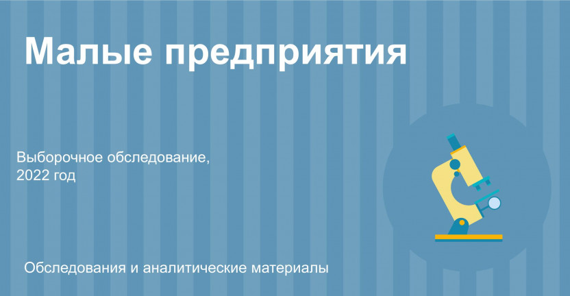 Об основных показателях деятельности малых предприятий (без микропредприятий)  Республики Бурятия в 2022 году