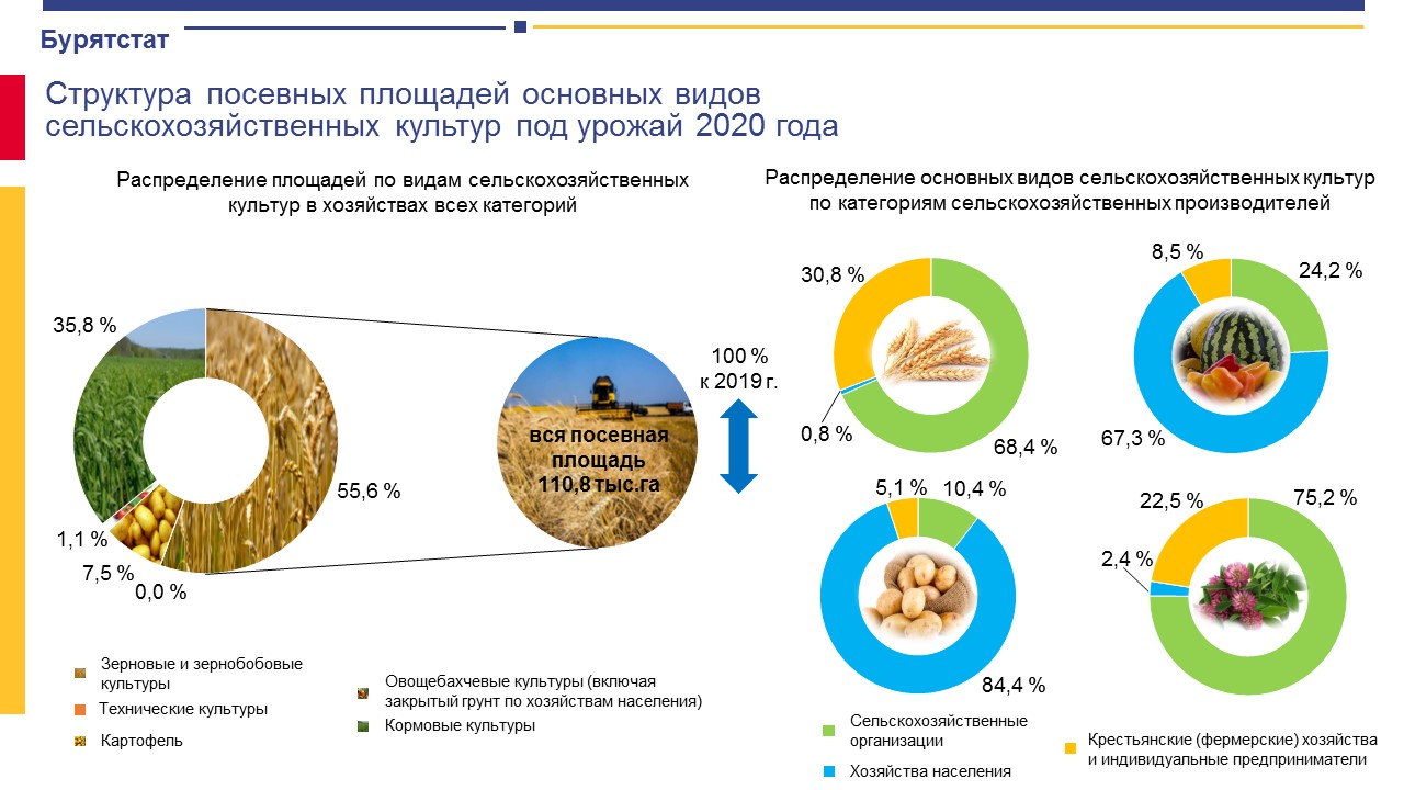 Карта посевных площадей